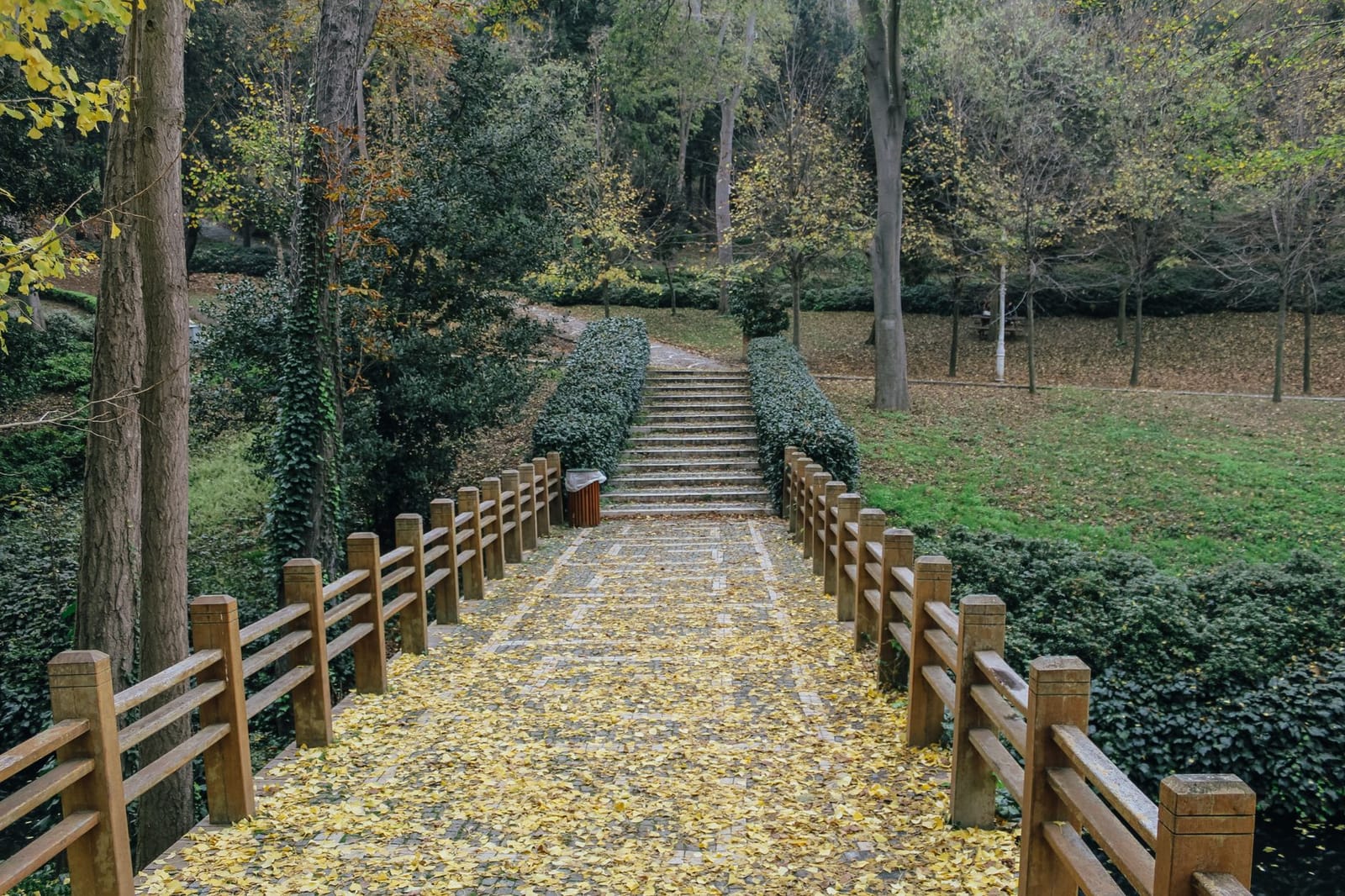 Passerelle en bois recouverte de feuilles d'automne menant à un escalier forestier.