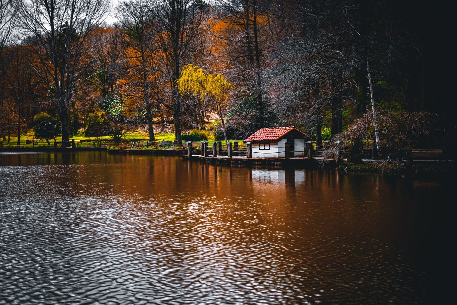 Maisonnette sur pilotis au bord du lac paisible de l'arboretum Atatürk.