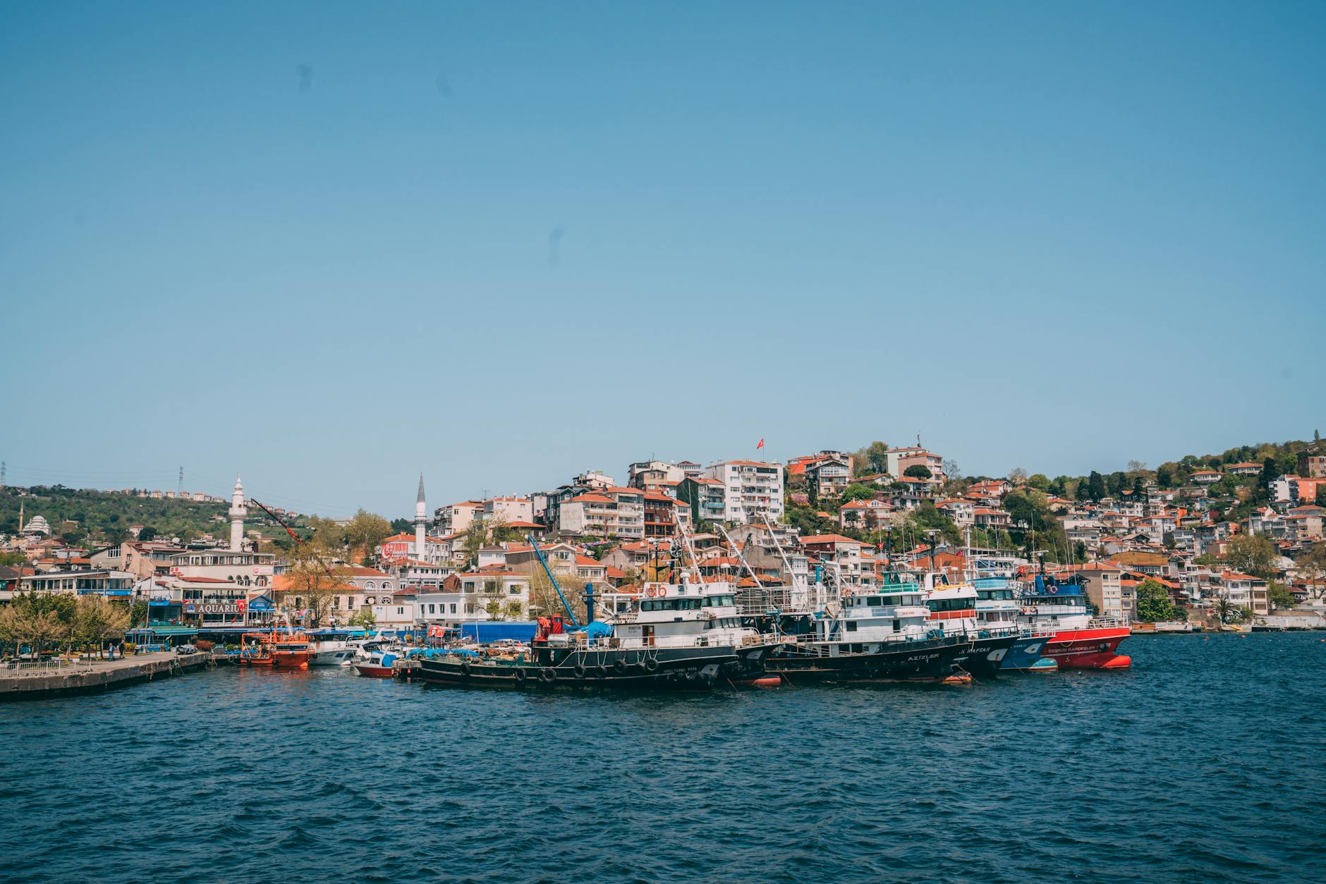 Des bateaux de pêche amarrés dans le port pittoresque de Sarıyer au bord du Bosphore.