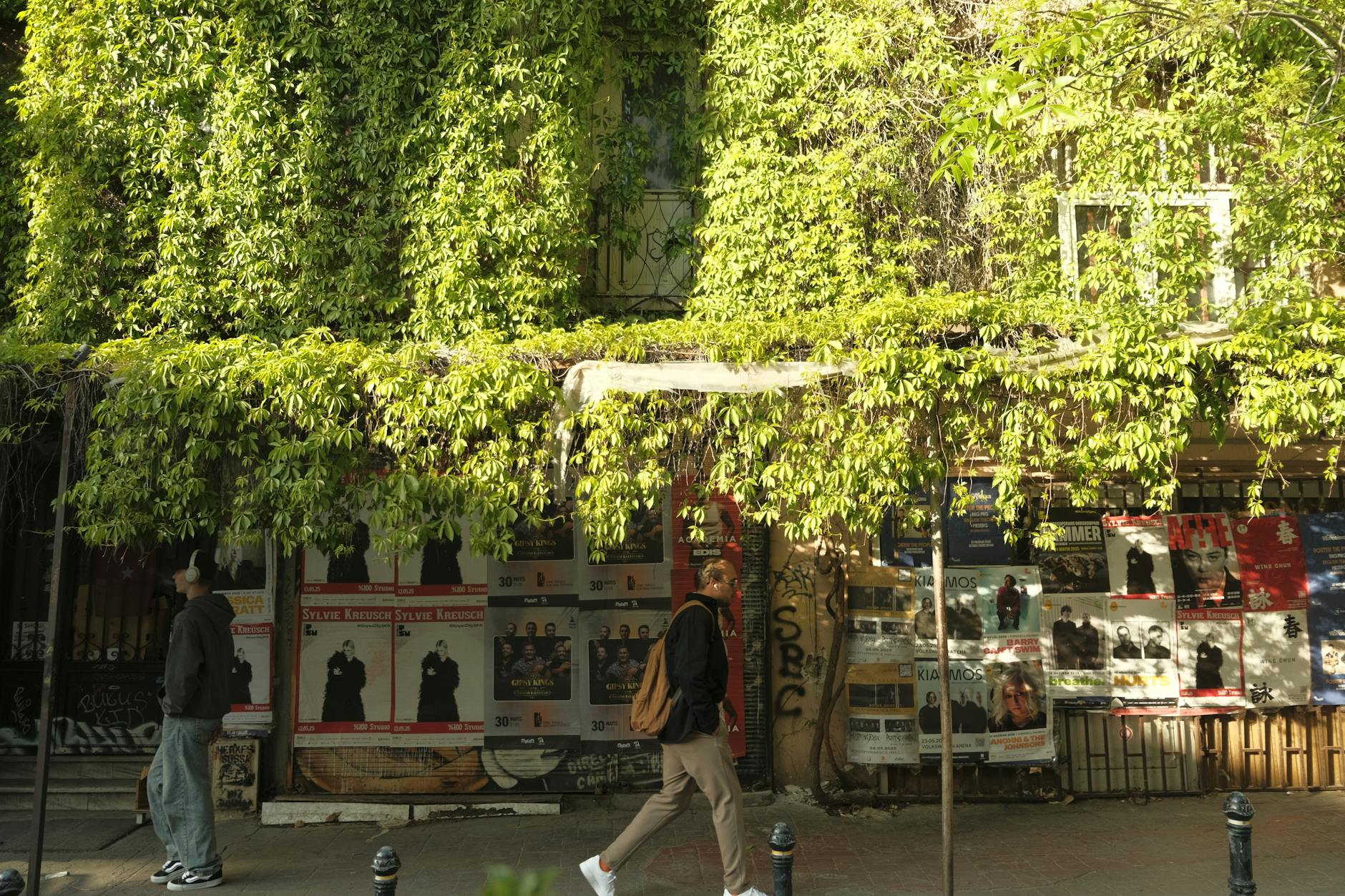 Rue bohème de Cihangir avec des affiches et une façade recouverte de lierre.