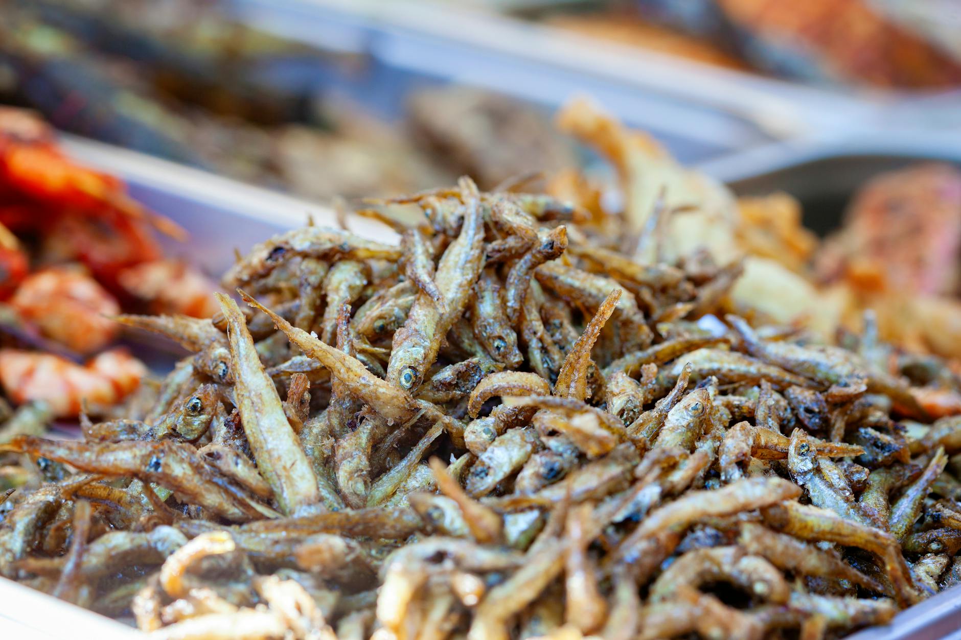 Petits poissons frits servis en terrasse dans le quartier de Samatya à Istanbul.