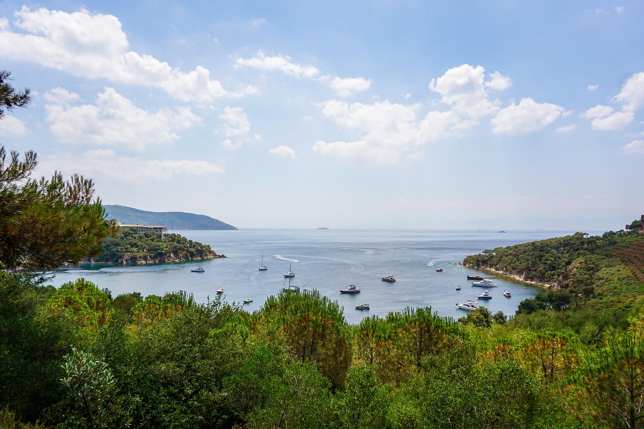 Vue panoramique d'une baie d'Heybeliada entre mer turquoise et pinèdes luxuriantes.