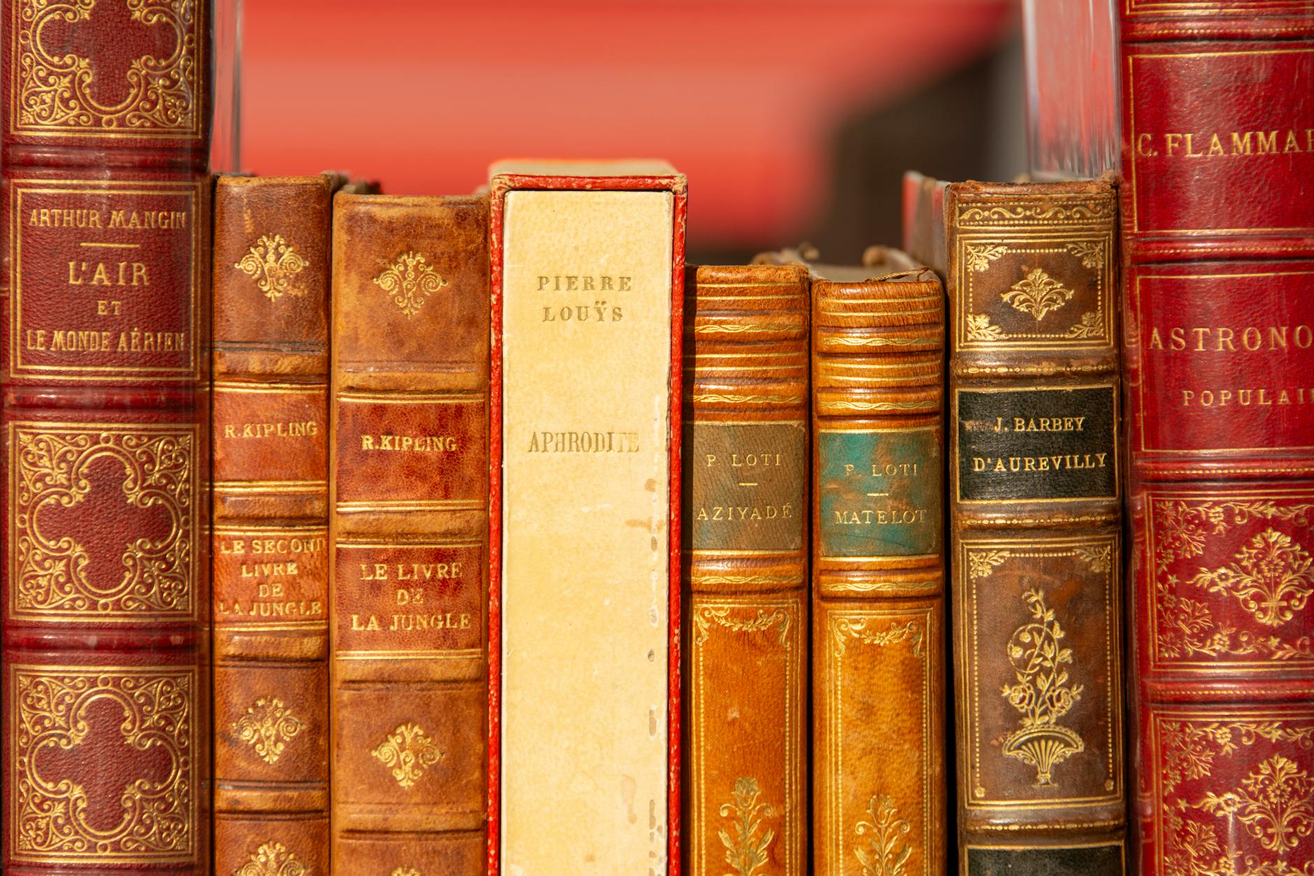 Anciens ouvrages de Pierre Loti exposés, rappelant l'héritage littéraire du lieu.