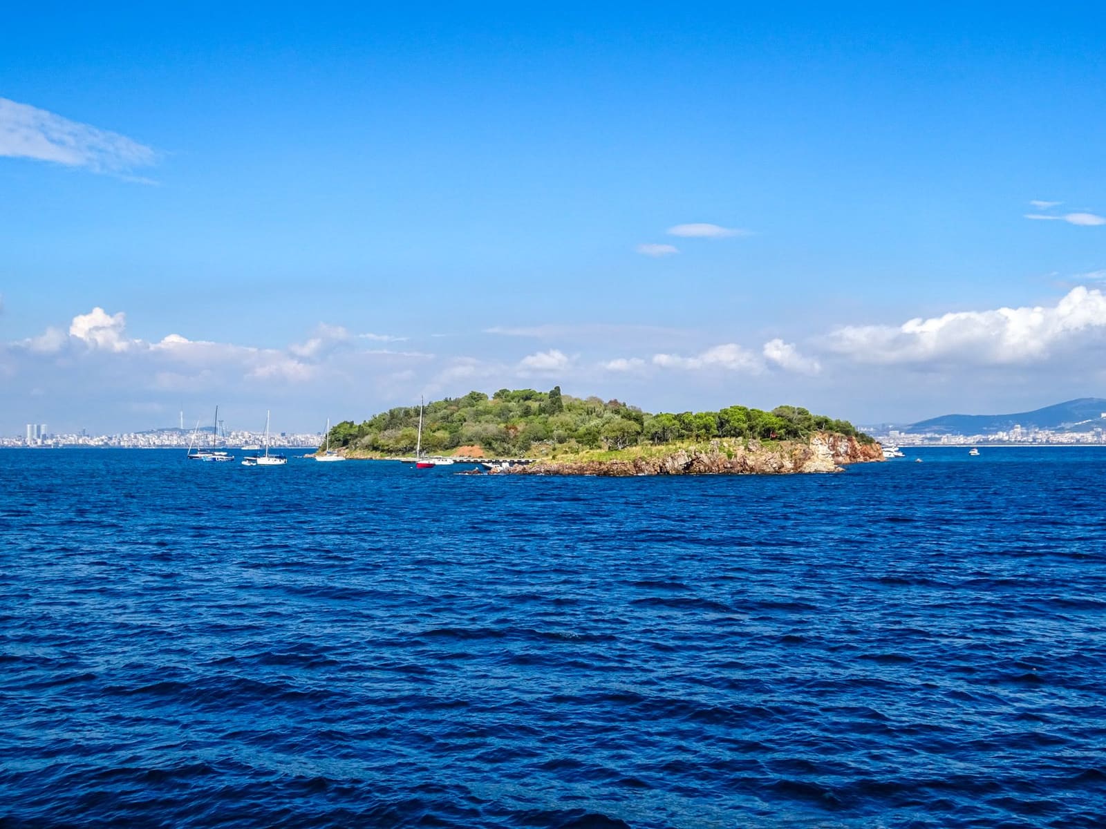 L'île boisée de Sedef bordée par la mer de Marmara.